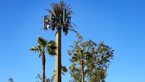 derra feature telecom
